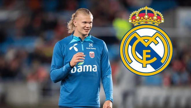 历史回测显 历史回测显